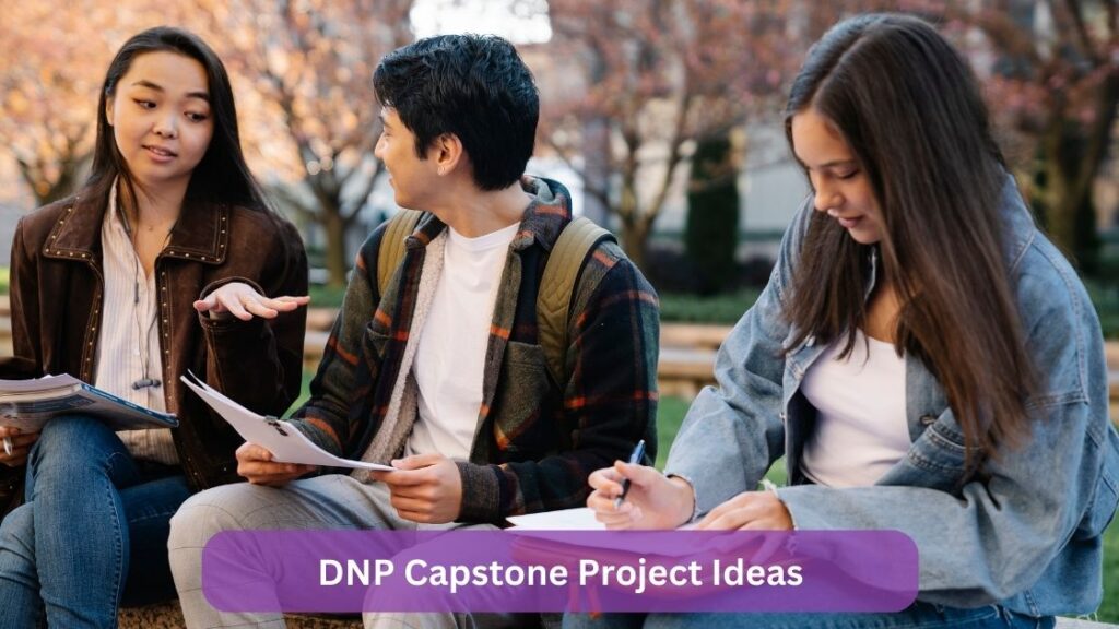 DNP Capstone Project Ideas